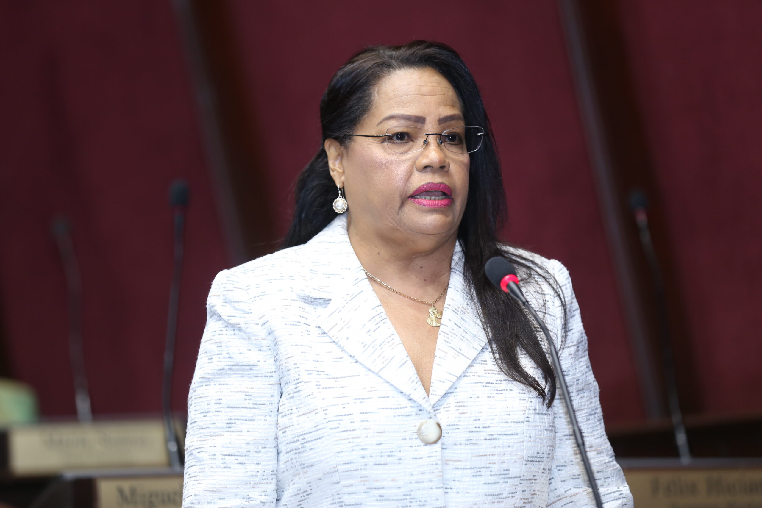 Cámara de Diputados aprueba proyecto que garantiza aprendizaje de