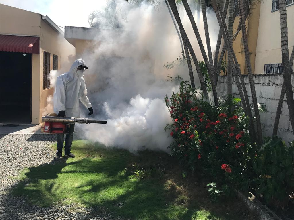 Persona fumigando el jardín de una casa.