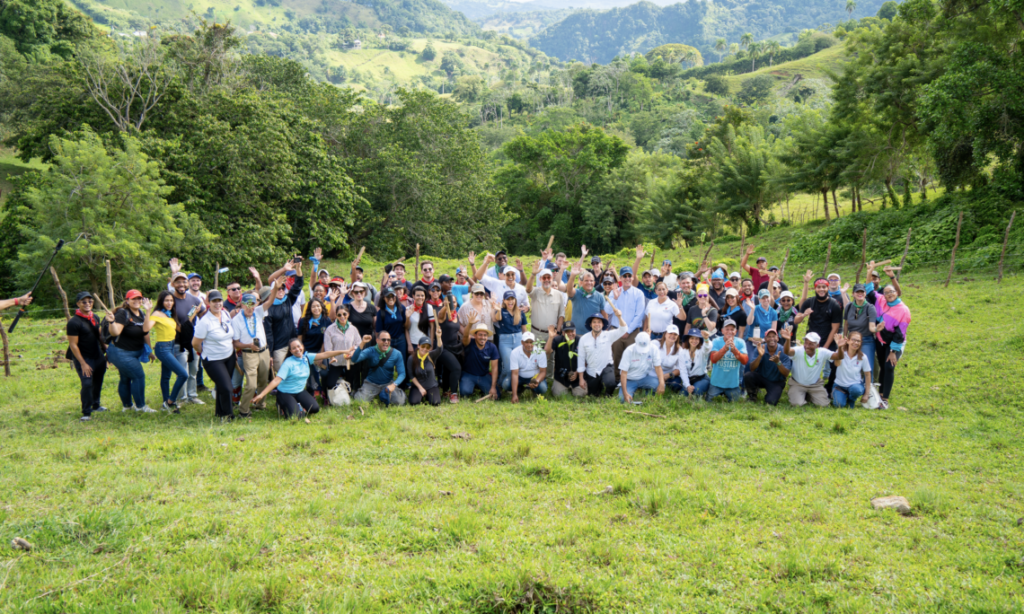 personal de la embajada reforestando