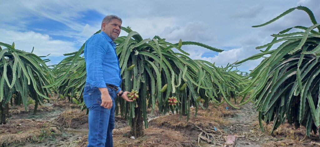 El ministro de Agricultura de la República Dominicana, Limber Cruz, junto a una comisión de delegados de la entidad agotan una agenda de cooperación internacional para transferencia de conocimientos y tecnologías que inició aquí y continuará por varias zonas productivas de la República Socialista de Vietnam.