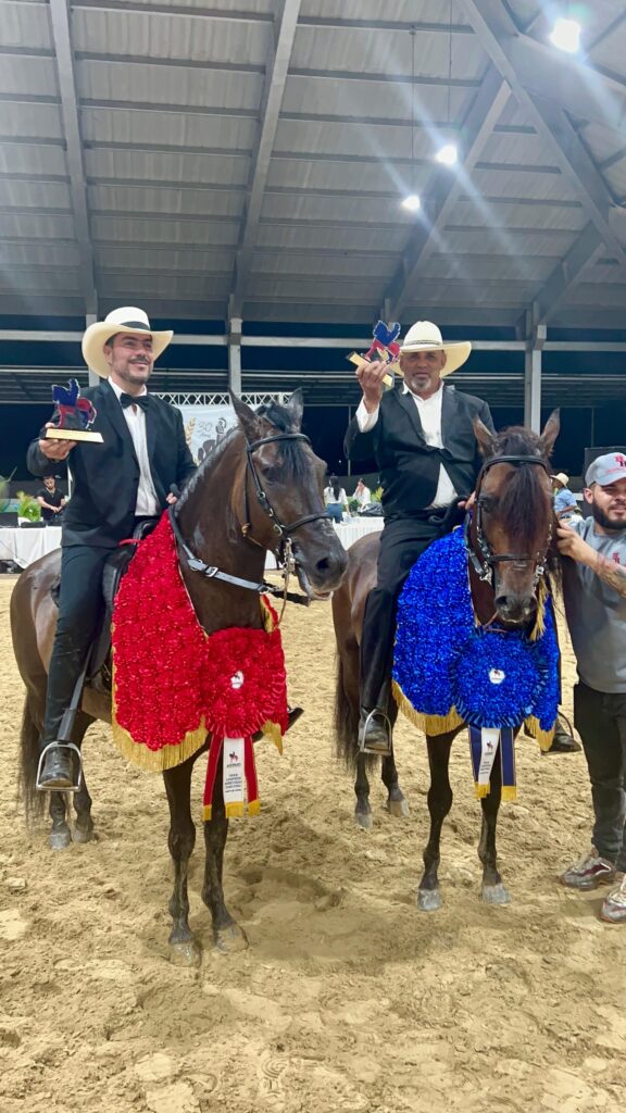 La Asociación Dominicana de Caballos de Paso (ADOPASO), realizó este fin de semana su cuarta competencia puntuable del Circuito Nacional del año dos mil veinticuatro (2024), en conmemoración de los treinta (30) años del Circuito Nacional 