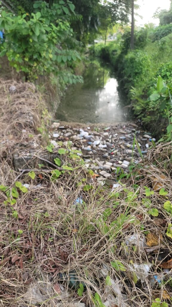 El residencial Paraíso del Caribe, conocido por su atractivo lago, enfrenta una grave crisis ambiental. Este lago