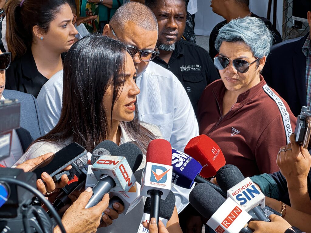 a ministra de Interior y Policía, Faride Raful, consideró que corresponde a las autoridades haitianas investigar el ataque a tiros 