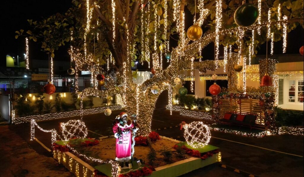 n un ambiente lleno de alegría y espíritu festivo, el senador Carlos Gómez lideró el tradicional encendido de las luces navideñas 