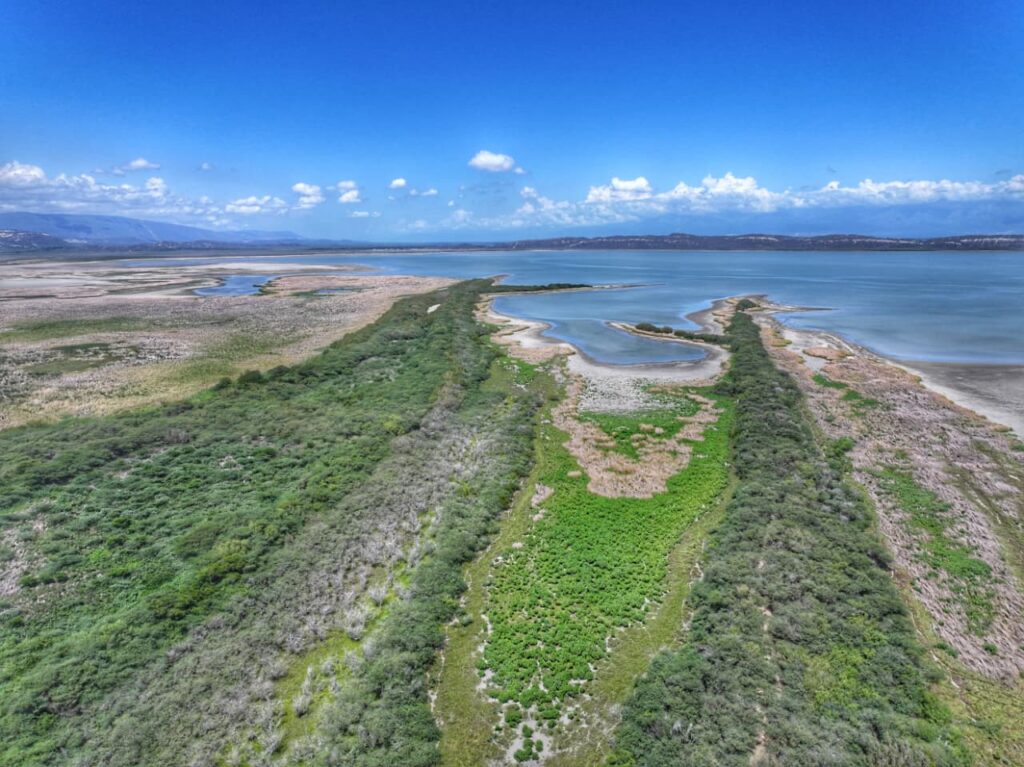 El Instituto Nacional de Recursos Hidráulicos (INDRHI) acompañó a la Comisión Permanente de Recursos Naturales y Medio Ambiente del Senado de la República en un descenso técnico a la laguna Rincón, localizada entre los municipios de Cabral y Cristóbal, con el propósito de evaluar los efectos de la severa sequía que afecta a la zona en aras de coordinar acciones que garanticen su recuperación y sostenibilidad.
