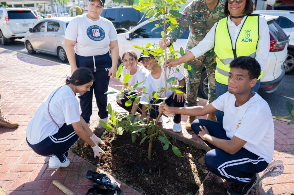 La Alcaldía del Distrito Nacional llevó a cabo una jornada de plantación de 150 árboles en la avenida Rómulo Betancourt, continuando con la Restauración Ecológica Urbana desarrollada tras el paso de la tormenta tropical Melissa.