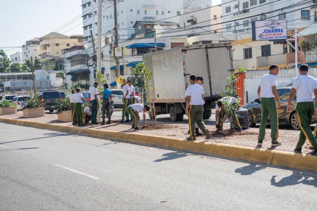 La Alcaldía del Distrito Nacional llevó a cabo una jornada de plantación de 150 árboles en la avenida Rómulo Betancourt, continuando con la Restauración Ecológica Urbana desarrollada tras el paso de la tormenta tropical Melissa.