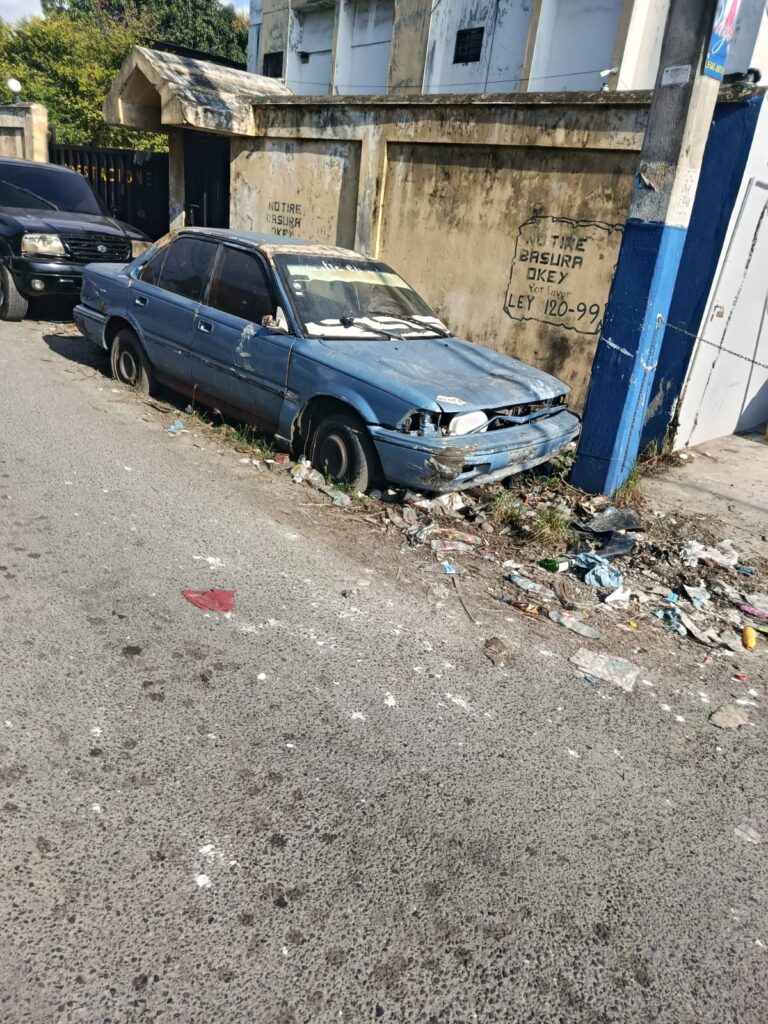 La periodista y dirigente comunitaria América Pérez solicitó formalmente a la Delegación de Las Caobas, encabezada por Yanira Rubio, la realización de un operativo de limpieza integral para las manzanas 28 y 29 de este sector.