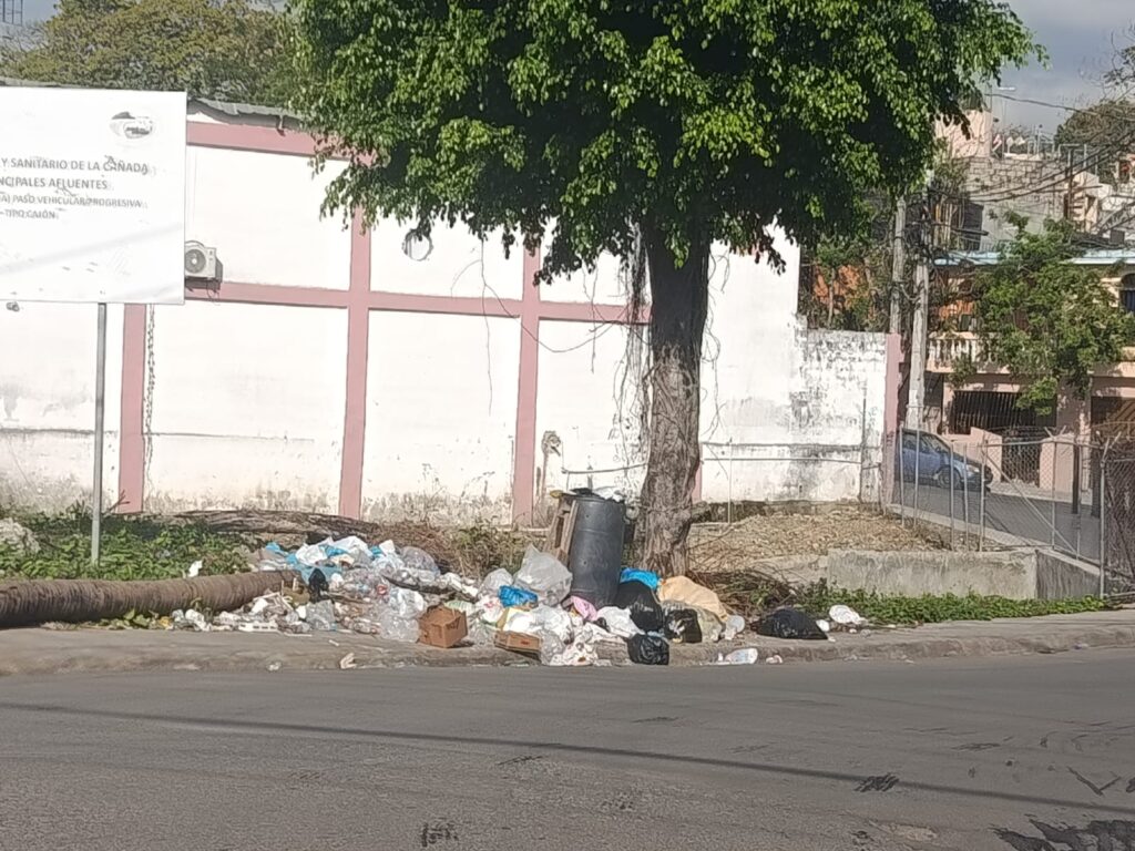 La periodista y dirigente comunitaria América Pérez solicitó formalmente a la Delegación de Las Caobas, encabezada por Yanira Rubio, la realización de un operativo de limpieza integral para las manzanas 28 y 29 de este sector.