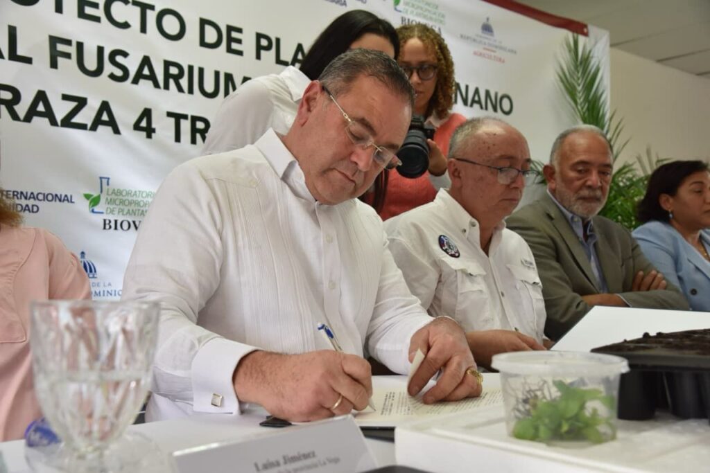 En un movimiento estratégico para proteger la economía y la seguridad alimentaria del país, el Ministerio de Agricultura y el Organismo Internacional Regional de Sanidad Agropecuaria (OIRSA) lanzaron un proyecto pionero para introducir plantas de banano con alta tolerancia al Fusarium R4T.⁠agricultura-oirsa-banano-fusarium-rd.webp⁠.