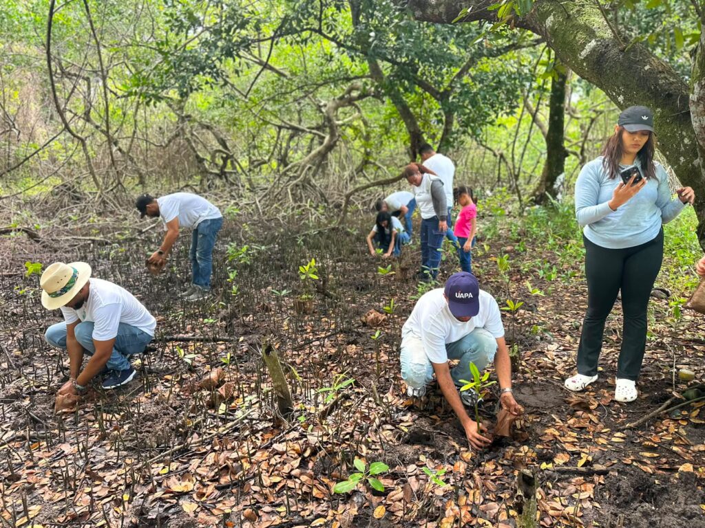 Como parte de su compromiso con la sostenibilidad ambiental y la
responsabilidad social, la Universidad Abierta para Adultos (UAPA), recinto Nagua, en
coordinación con el Clúster Turístico de Samaná y con el respaldo del Ministerio de Medio
Ambiente y Recursos Naturales, Dirección Provincial de Samaná, realizó con éxito la jornada
de reforestación "Domingo Verde" en la comunidad de Las Garritas, municipio de Sánchez,
provincia Samaná.