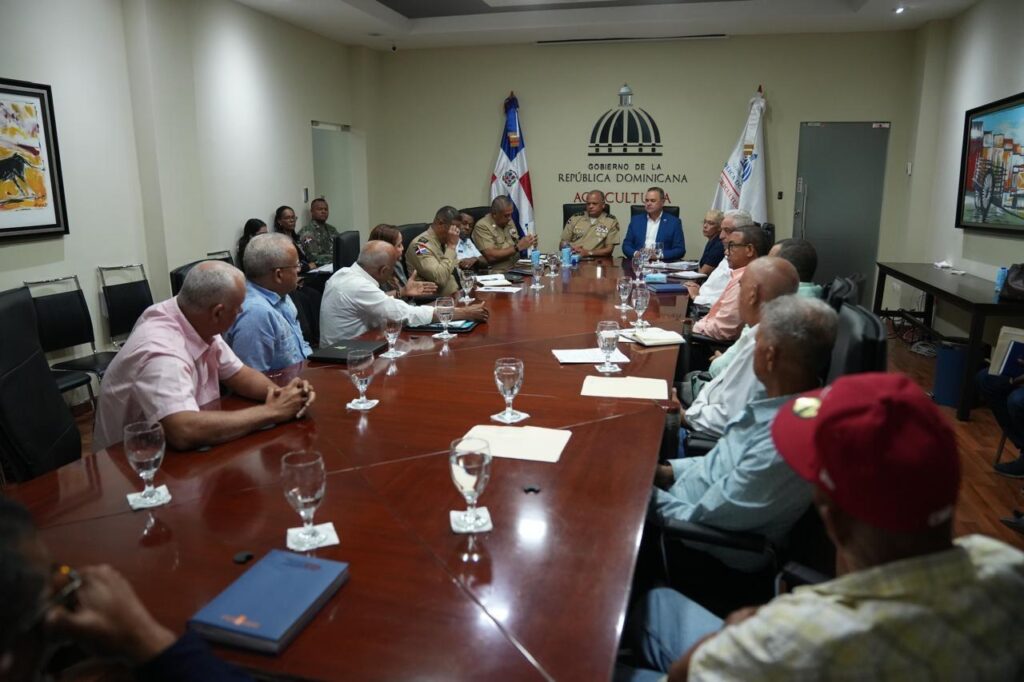 El Gobierno y los productores de arroz y banano acordaron poner en marcha acciones conjuntas para garantizar la continuidad de las labores productivas, avanzar en el proceso de mecanización agrícola y preservar la seguridad nacional, como parte de los esfuerzos para reducir gradualmente la dependencia de la mano de obra extranjera en el campo dominicano.