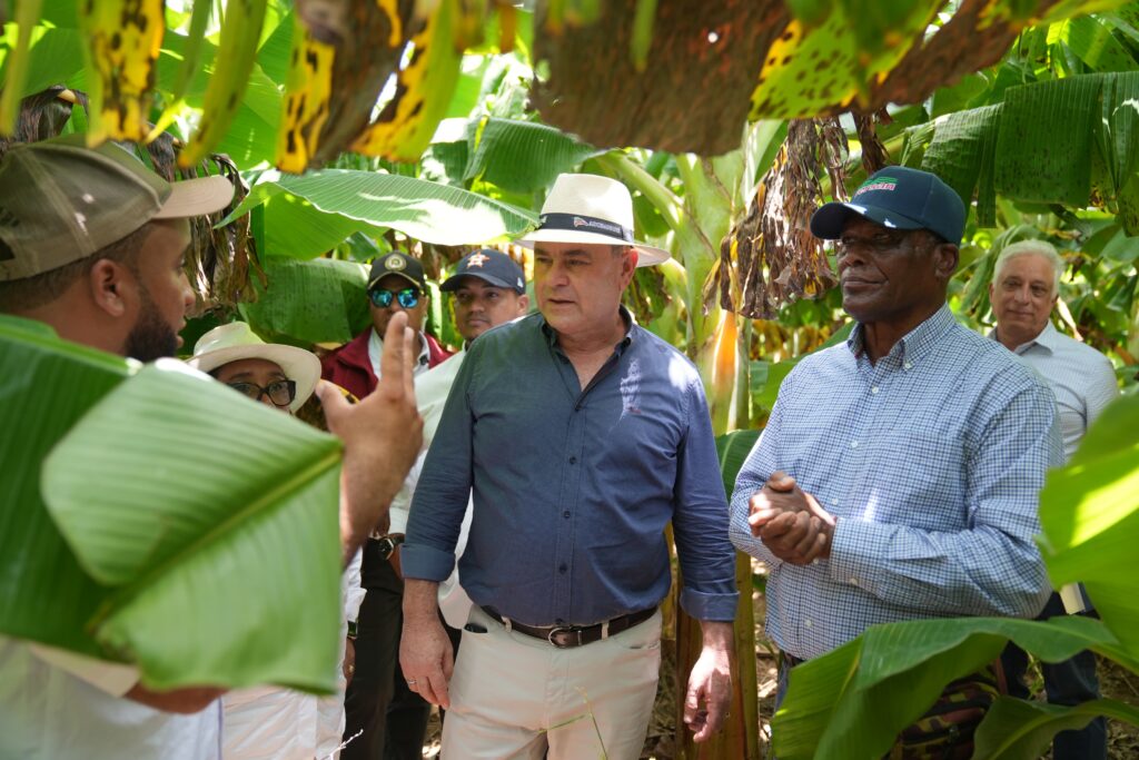 El Ministerio de Agricultura inició el protocolo para la reapertura del Proyecto de Desarrollo Agropecuario Valle de Juancho (PRODEVAJ), en cumplimiento de lo establecido en el Decreto 668-9, dando paso a una serie de medidas orientadas a reactivar uno de los proyectos agrícolas más importantes de la región Sur del país.