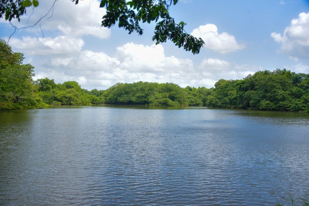 El movimiento ciudadano VAMO celebró de manera exitosa el encuentro con los líderes de Laguna Manatí, del Parque Nacional del Ozama y del municipio de La Victoria, realizado el domingo 9 de agosto.