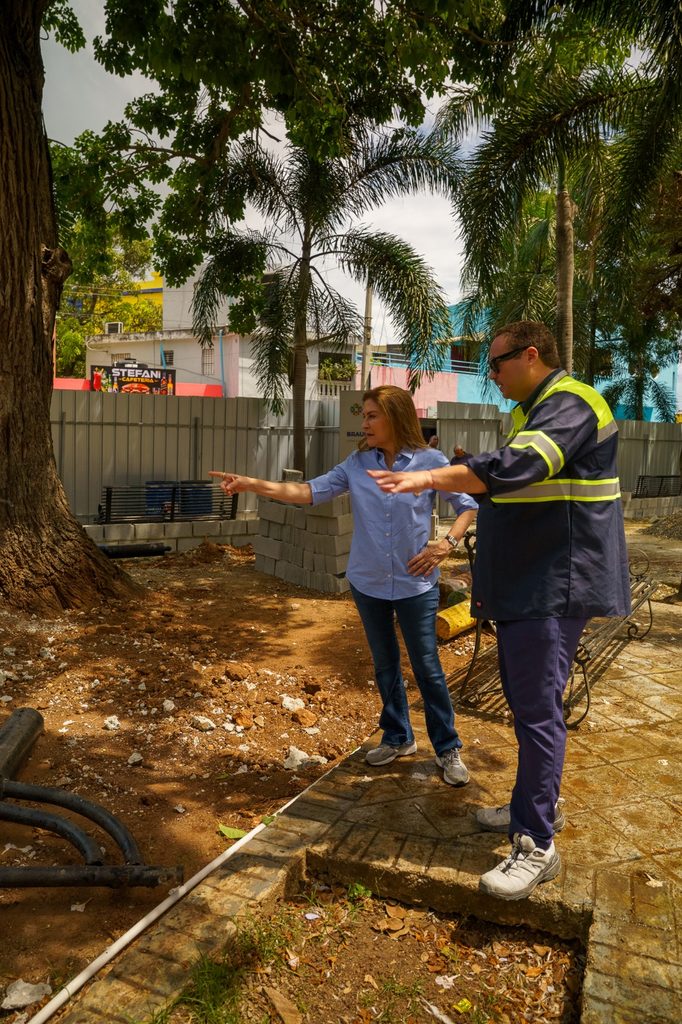 supervisa ejecución de obras que transforman distintos sectores del DN